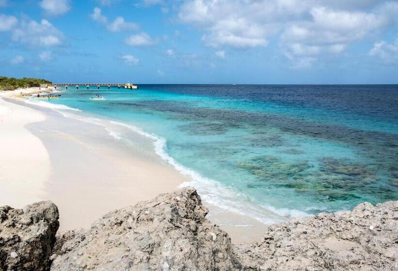 تختخواب و صبحانه Casa Mantana Bonaire