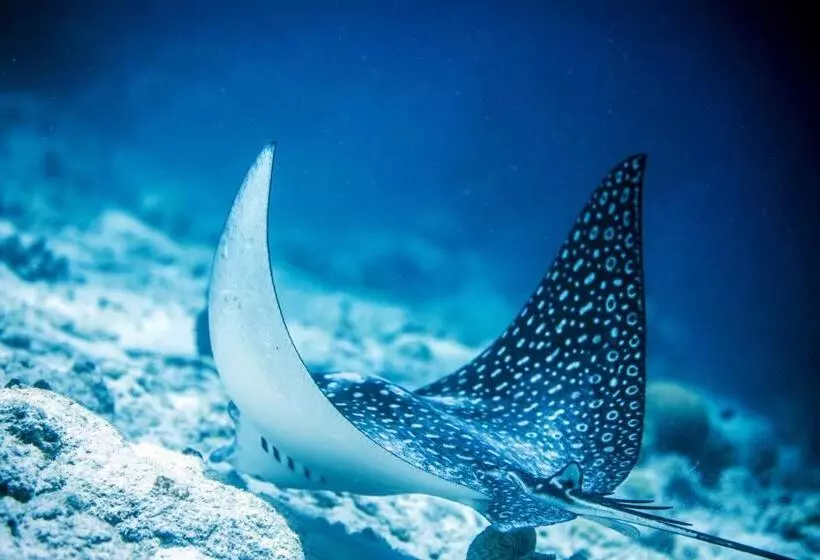 تختخواب و صبحانه Casa Mantana Bonaire