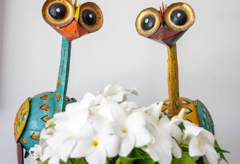 تختخواب و صبحانه Casa Mantana Bonaire