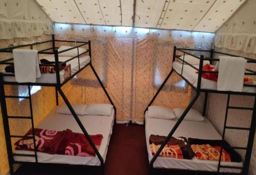 The Cocoon Camps & Nature Resorts