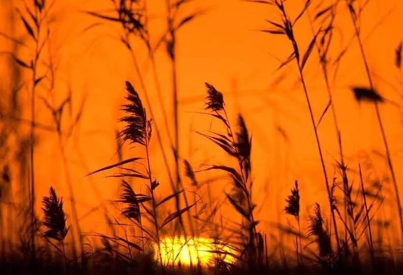 Cas Ferrer Nou Hotelet