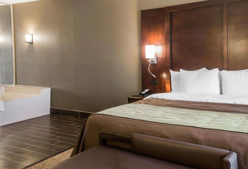 هتل Comfort Inn & Suites Pharr/mcallen