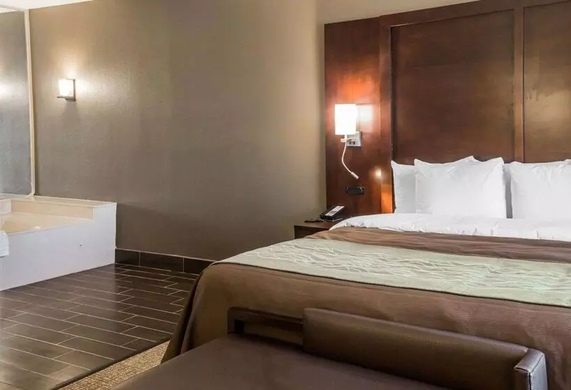 Отель Comfort Inn & Suites Pharr/mcallen