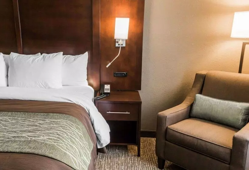 Отель Comfort Inn & Suites Pharr/mcallen