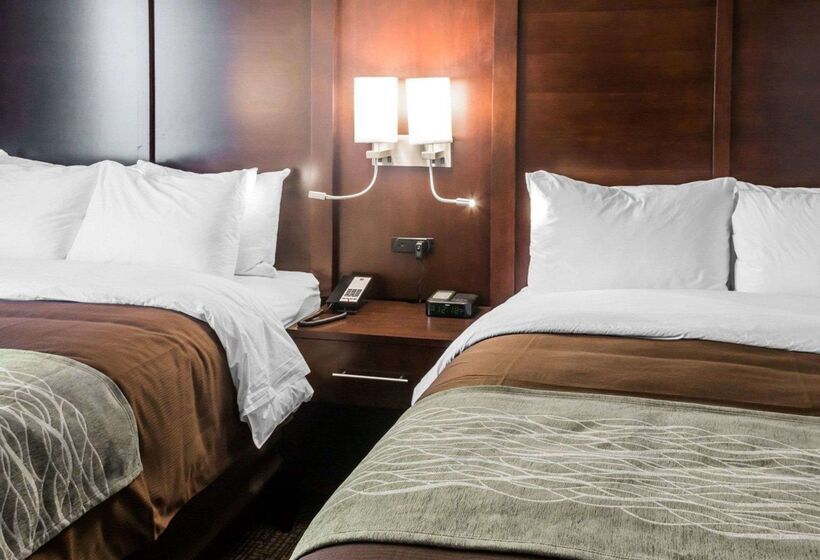 هتل Comfort Inn & Suites Pharr/mcallen