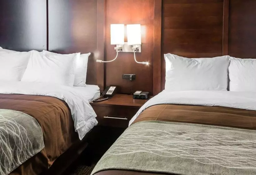 Отель Comfort Inn & Suites Pharr/mcallen