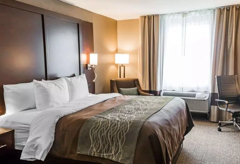 Отель Comfort Inn & Suites Pharr/mcallen