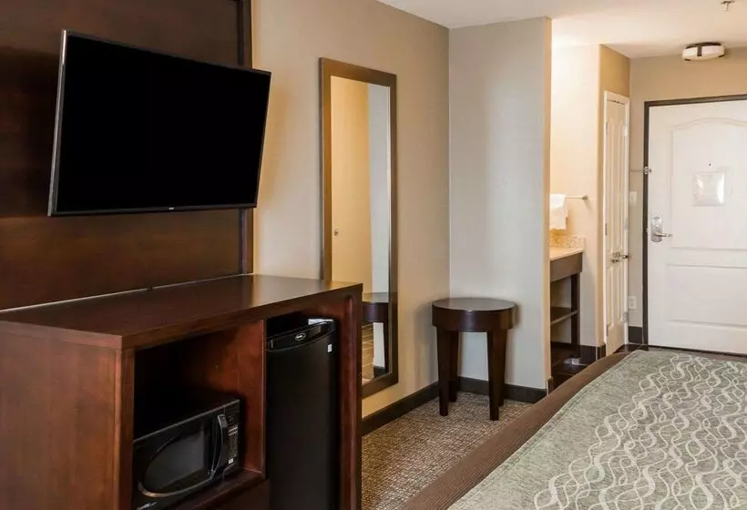 Отель Comfort Inn & Suites Pharr/mcallen
