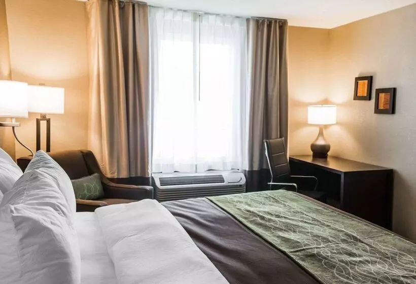 Отель Comfort Inn & Suites Pharr/mcallen