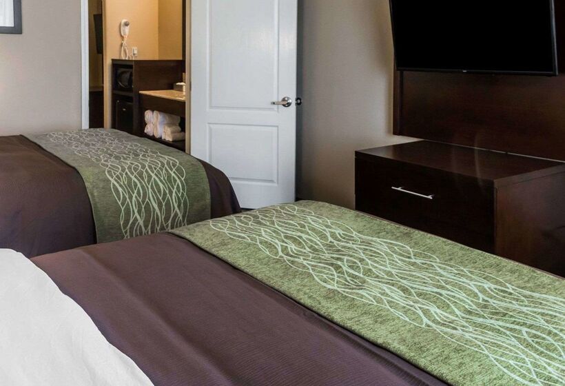 هتل Comfort Inn & Suites Pharr/mcallen