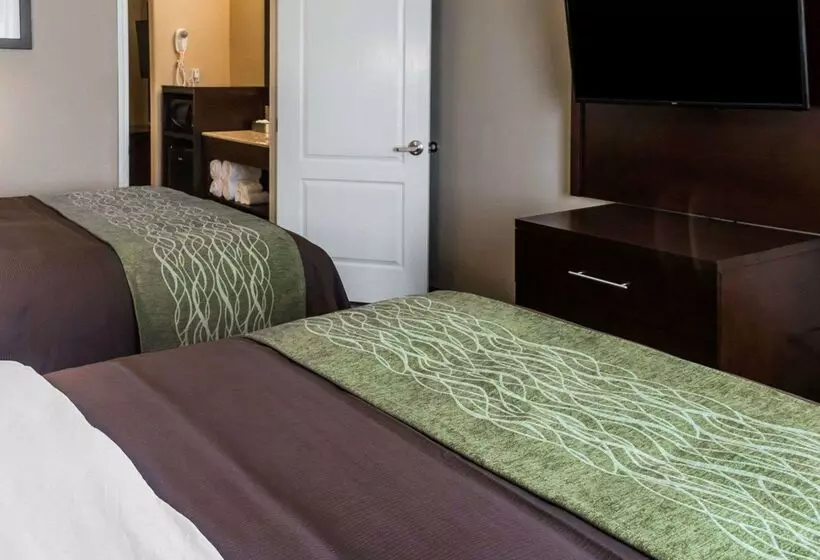 Отель Comfort Inn & Suites Pharr/mcallen