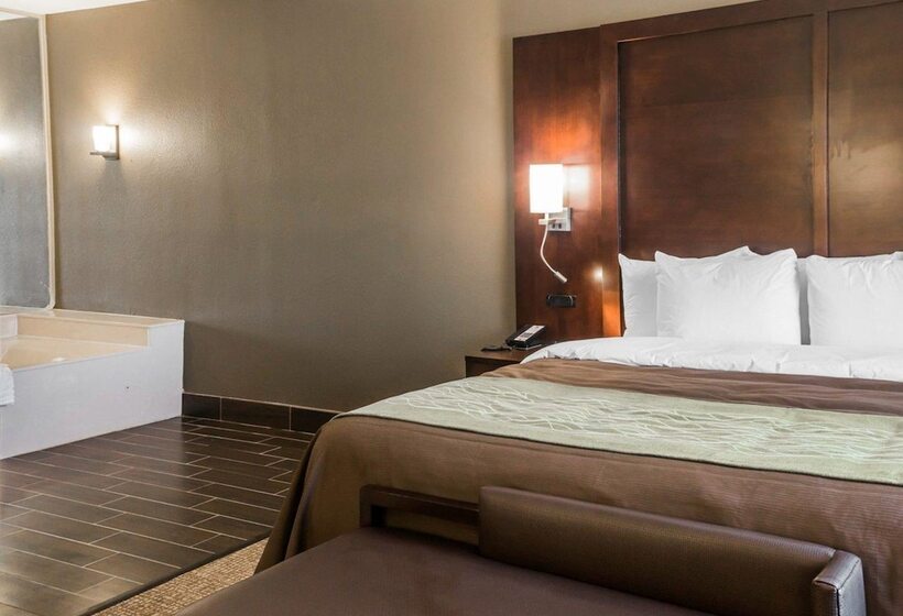 هتل Comfort Inn & Suites Pharr/mcallen