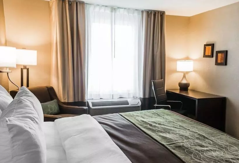 Отель Comfort Inn & Suites Pharr/mcallen