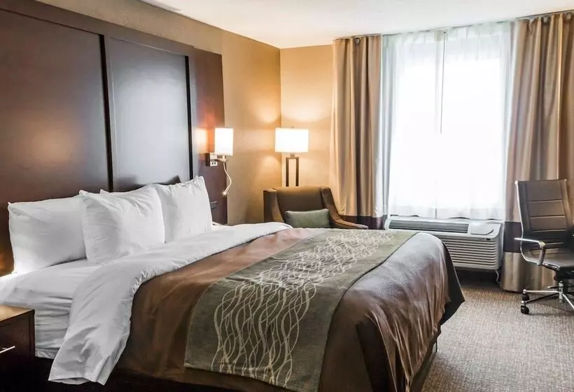 Отель Comfort Inn & Suites Pharr/mcallen