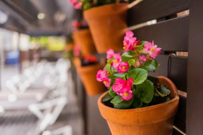 Magnolia Hotel   Adults Only