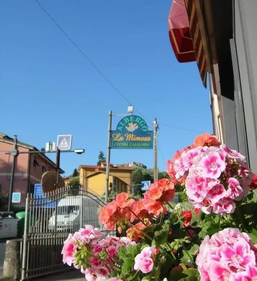 ホテル Albergo La Mimosa