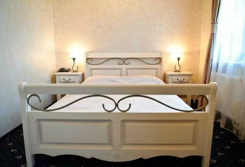 Hotel Carol   Vatra Dornei