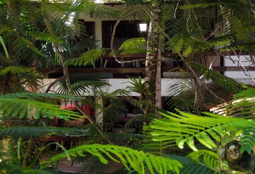 פנסיון Pousada Brasil Paraty