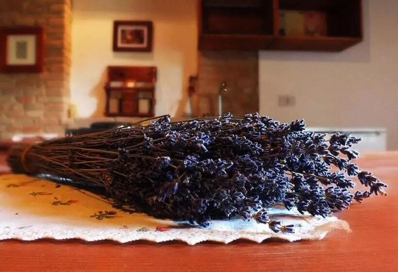 Agriturismo La Casa Della Lavanda  Il Casale