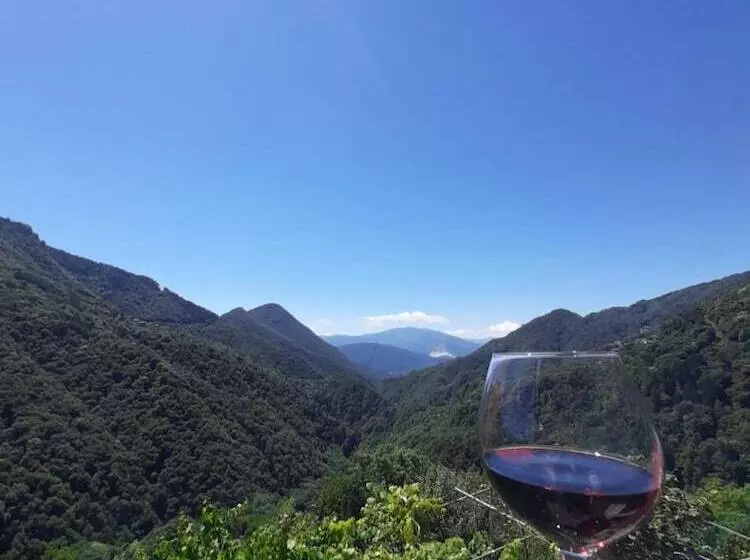 ホテル B&b La Locanda Del Cinghiale