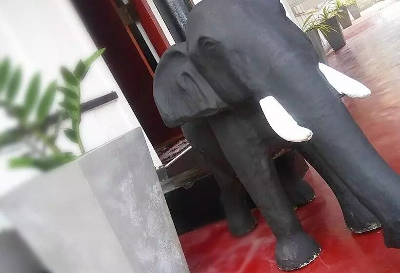 هتل Gloriya Mathews