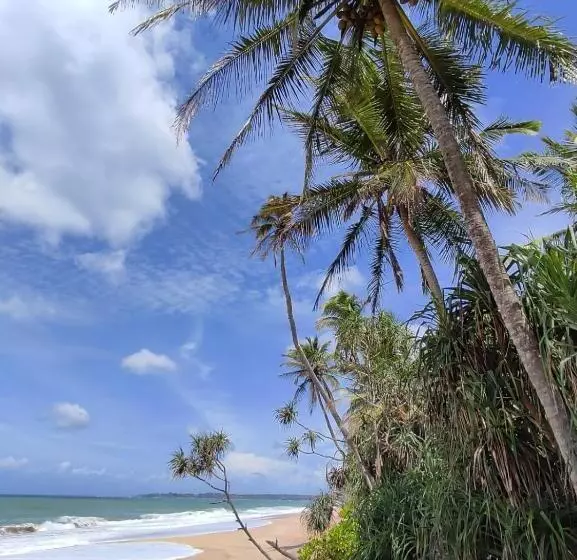 هتل Turtle Paradise