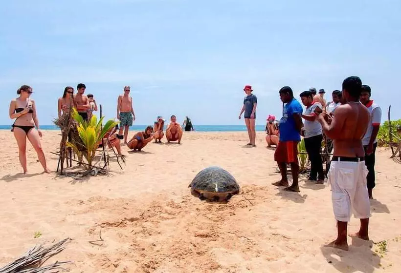 هتل Turtle Paradise
