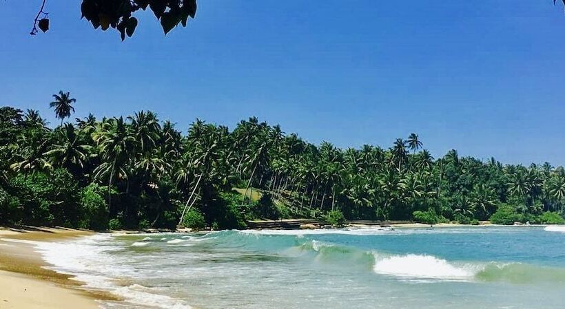 فندق Turtle Paradise