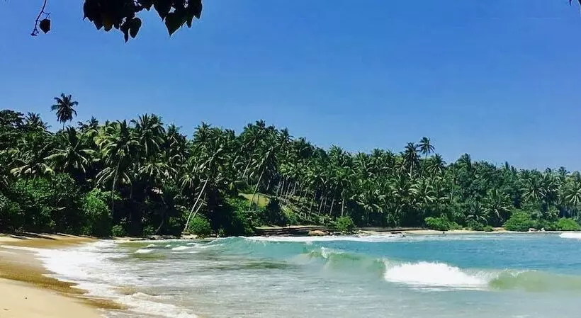 هتل Turtle Paradise