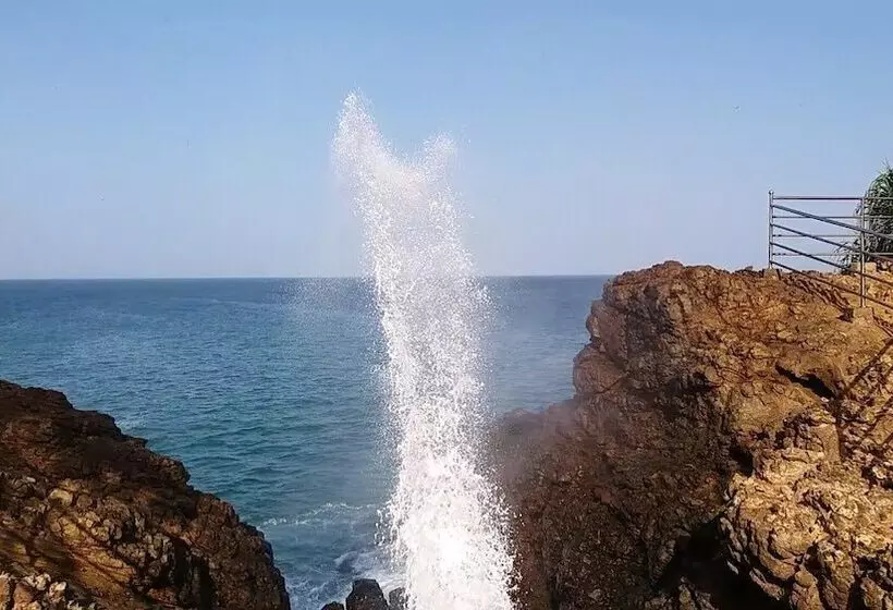 هتل Turtle Paradise