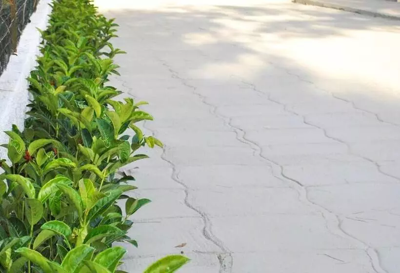 Hotelli B&b Le Mimose