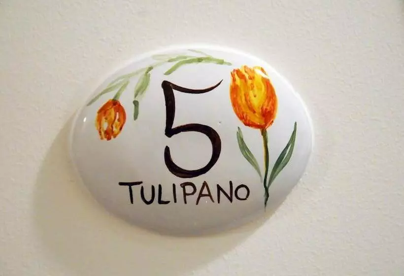 Hotelli B&b Le Mimose