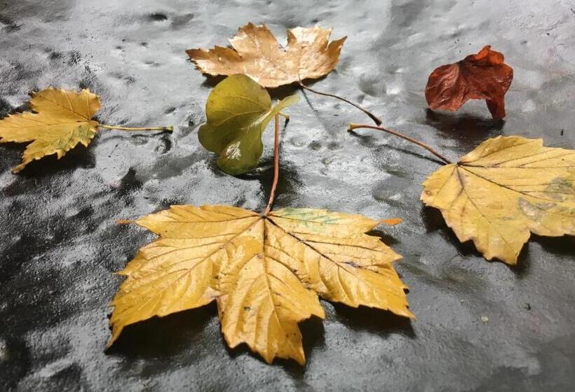 هتل Dimora Storica La Corte Delle 4 Stagioni