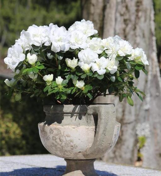 هتل Dimora Storica La Corte Delle 4 Stagioni