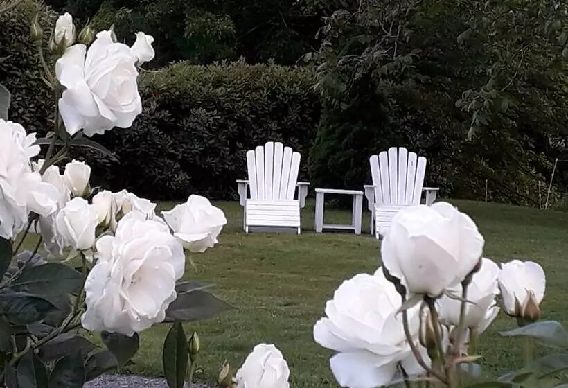 ホテル Woodside Bed And Breakfast