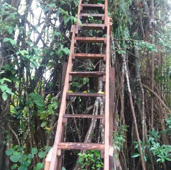 Hotel Tanna Eco Venture Bungalow