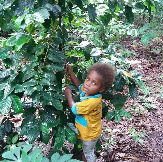 هتل Tanna Eco Venture Bungalow