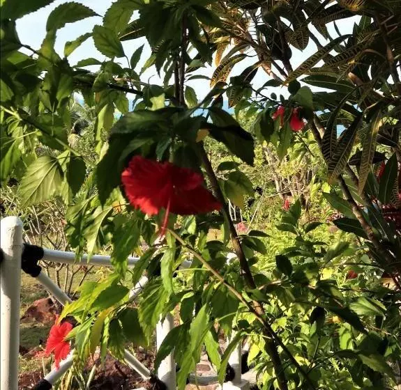 Breve Azurine Lagoon Resort