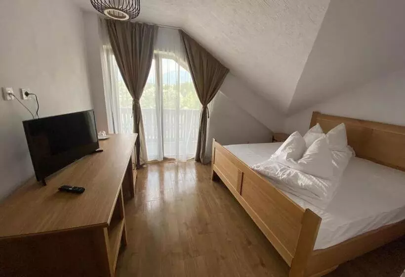 ペンション Casa Lazaroiu