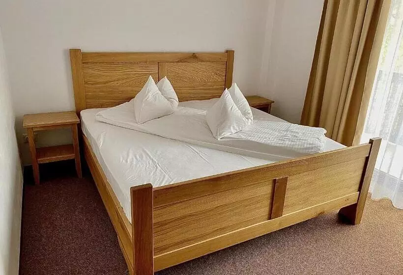 ペンション Casa Lazaroiu