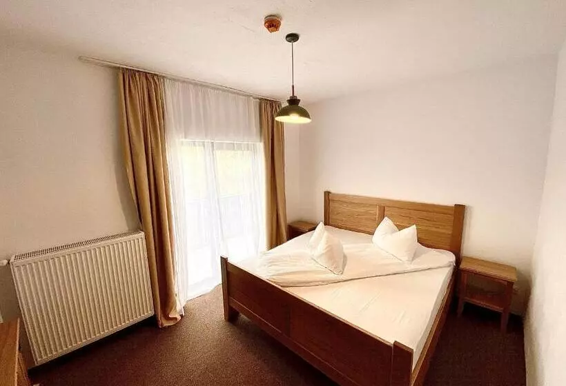 ペンション Casa Lazaroiu