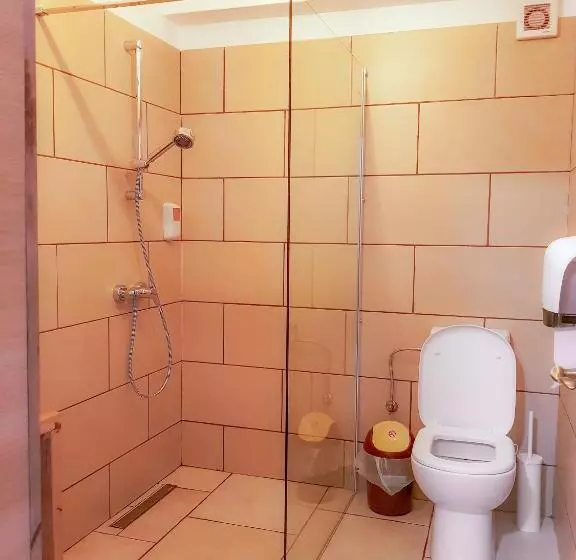 ペンション Casa Lazaroiu