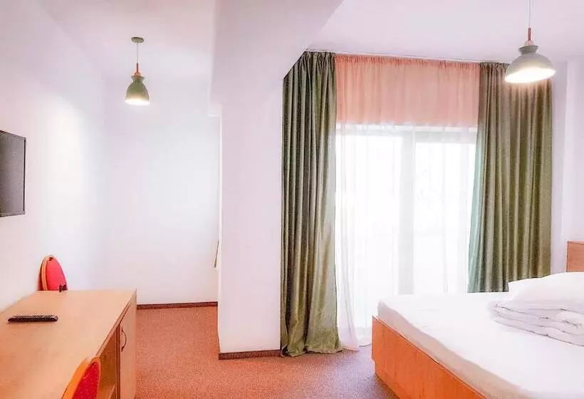 ペンション Casa Lazaroiu