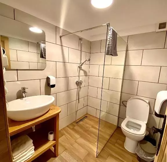 ペンション Casa Lazaroiu