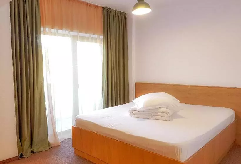 ペンション Casa Lazaroiu