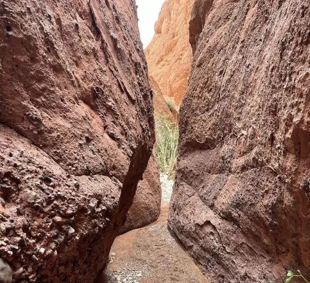 Hotelli Maison D Hôte La Vallée Des Figues