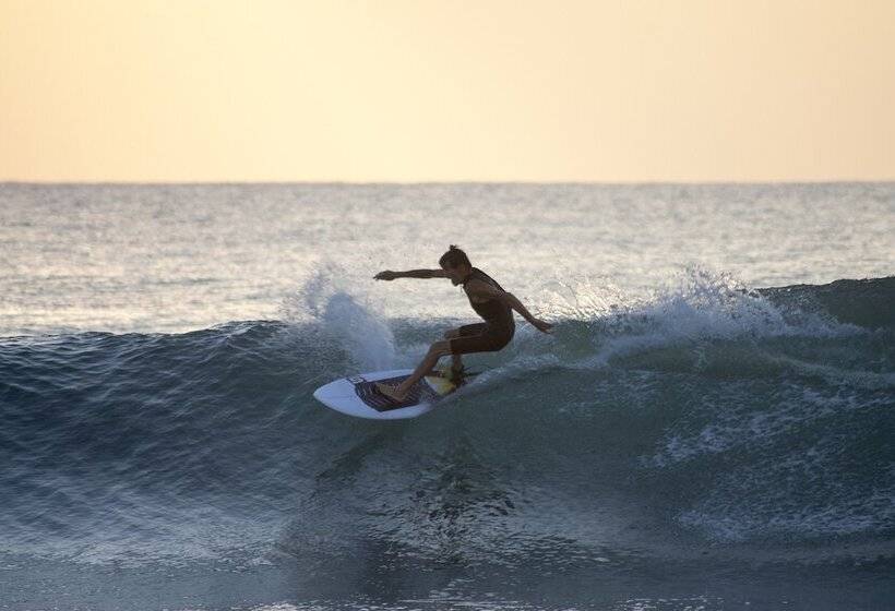 فندق Hilltop Cabanas