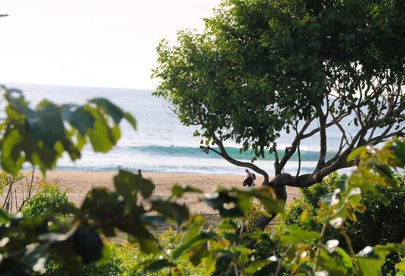 فندق Hilltop Cabanas