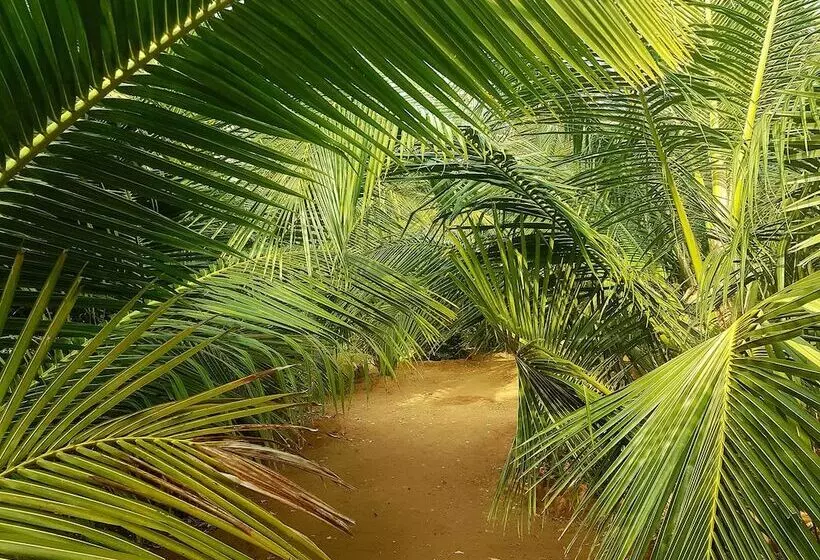 ホテル Hilltop Cabanas