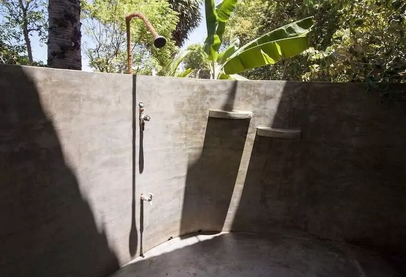 ホテル Hilltop Cabanas